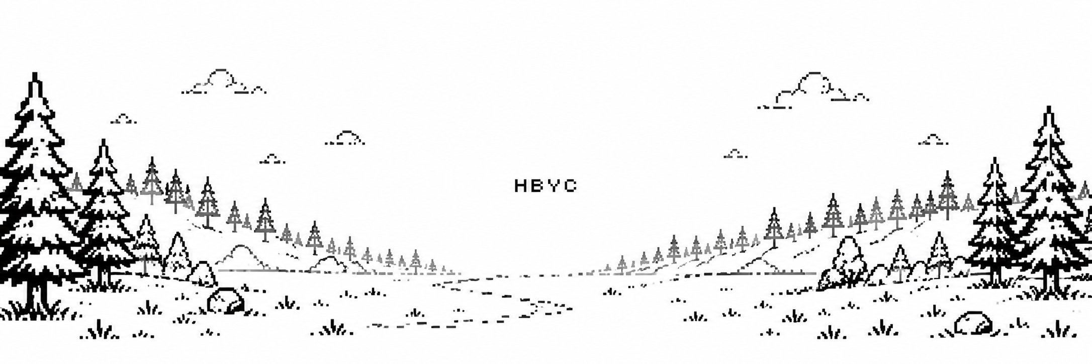 Hype Bears Yacht Club